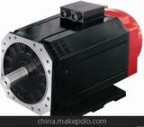 CTB Servo Spindle Motor