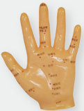 PVC Material Texture Velvety Hand Acupuncture Model