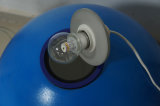 Integrating Sphere Lumen Tester LED Lamp Tester Spectrophotometer Chromatography Optical Instrument