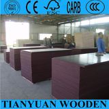 4*8 Black Film Faced Plywood Timber Board