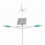 (BRSW-113) 100W LED Solar/Wind Hybrid LED Street Light