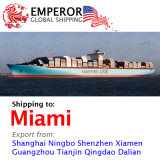 Sea Freight Shipping From China to Miami, USA