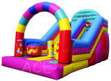 Attractive Inflatable Slide with New Design (ACE6-07)