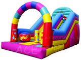 Attractive Inflatable Slide with New Design (ACE6-07)