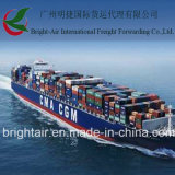 Cargo Ship From China to Doha, Qatar