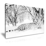 Wholesale White Tiger Canvas Painting Wall Art for Exhibition Hall