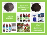 The Compound Microbiological Preparation and Active Organic Fertilizer