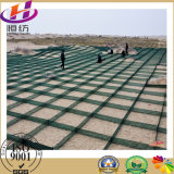 HDPE Plastic Consolidate Sand Net for Desert Manufacturer (NO. 1)