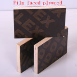 Combi Core Film Faced Plywood (FFP-CC03)