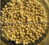 Compound Fertilizer (NPK 12-12-17+2MGO)