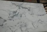 White Marble With Landscape Veins