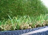 Artificial Grass