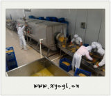 Dehydrated Vegetables Processing and Drying Machine