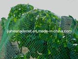 HDPE Anti-Bird Net