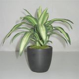 Artificial Tropical Plants