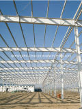 Workshop/Warehouse Light /Heavy Steel Structure with SGS Certification / ISO (MZ-SST)