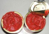 2013 Crop Canned (Tomato Sauce) Tomato Paste