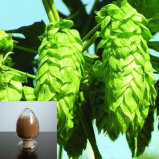 Hops Extract Beer /Flavoid