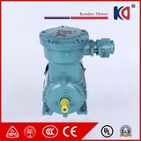 380V Asynchronous Electric Anti-Explosion AC Motor