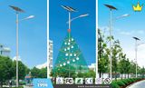 Stand Alone Solar LED Street Light