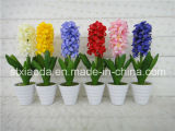 Artificial Plastic Potted Flower (XD15-353)