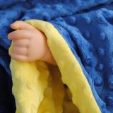 MOQ 50PCS Minky Material Boy Baby Blankets Newborn