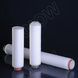 0.22 PTFE Membrane Cartridge Filter 10