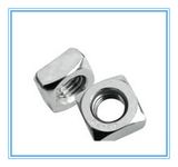 DIN557 Stainless Steel Square Nuts for Industry