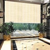 Roller Blinds for The Home-1