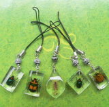 Insect Jewelry-Mobile Charm