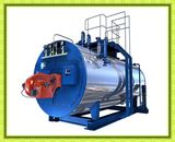 Full Automatic Gas Fired Industrial Boiler (WNS)