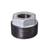 Pipe Fitting Plug (LSMG-RP291)