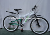 White Bicycle for Hot Sale with Disc Brake (SH-SMTB162)