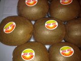 New Crop for Exporting Fresh Kiwi