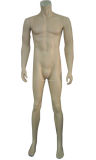 Male Display Mannequins