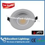 Adjustable Down LED Light