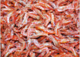 Dry Red Shrimp