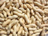 Agriculturial Product Peanut