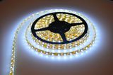 3528 SMD LED Flexible Strip Light