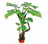Artificial Alocasia Macrorrhizo Bonsai Plant for Decor