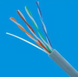 Cat5e UTP Network Cable LAN Cable