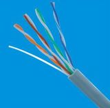Cat5e UTP Network Cable LAN Cable