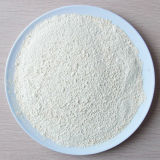 New Crop Dehydrated Garlic Powder