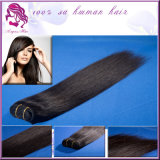 100% Virgin Brazilian Human Virgin Hair Factory Price High Quality Silk Straight Hair Weft