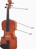 Parts Of Violin