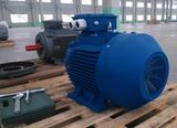 Ye3 Series AC Electric Motor Cast Iron 4p 30kw