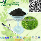 100% Pure Nettle Root Extract, 3, 4-Divanillyltetrahydrofuran 95% GMP Factory