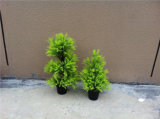 Yy-N002 Hot Sale Small Bonsai with Best Price