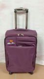 EVA/Polyester Business/Travel Luggage (XHI4009)