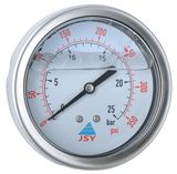 Liquid Pressure Gauge, 3', Back Type